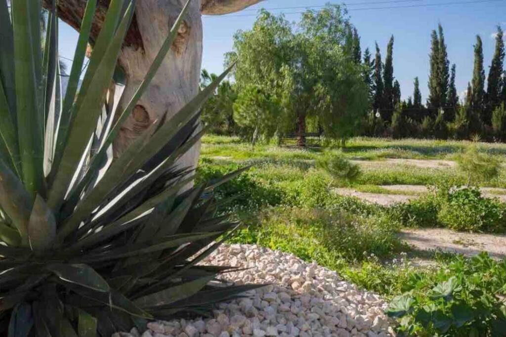 Villa Fina Μούρθια Εξωτερικό φωτογραφία